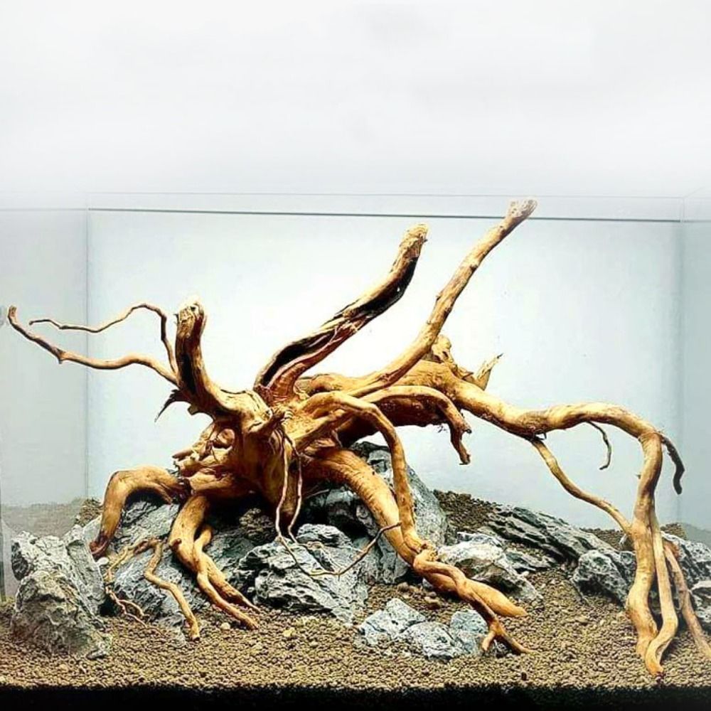 Planted Aquarium Media - Naturalne drzewo pnia dekoracja akwarium drewniane
