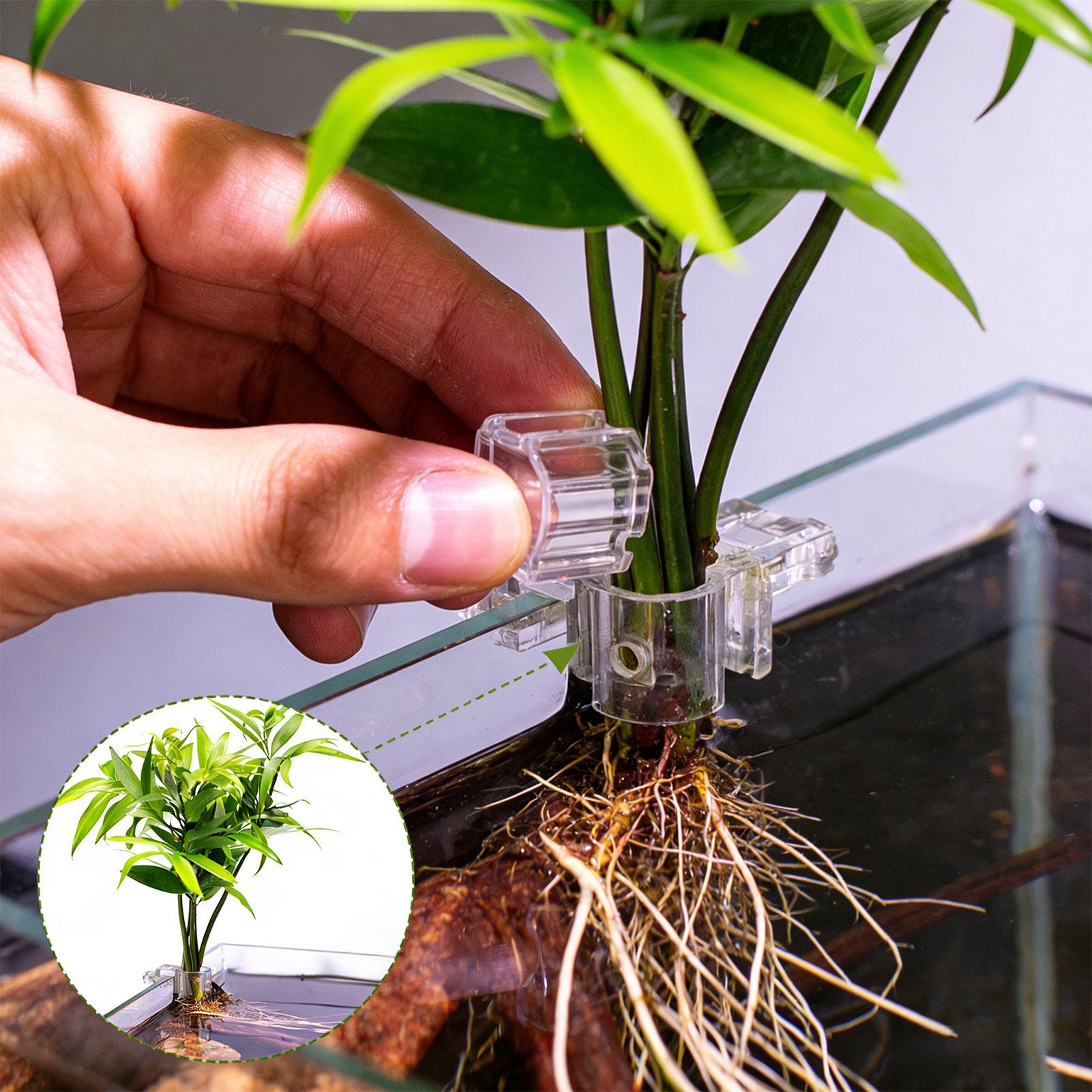 Aquarium Plant Holder - 6 szt. Przezroczyste uchwyty do roślin