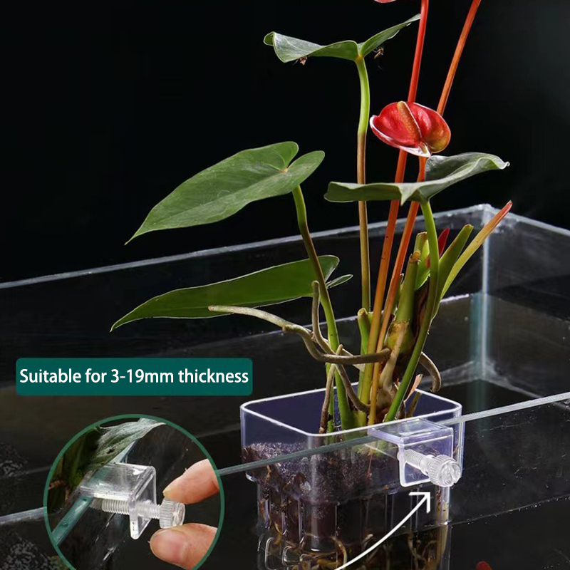 Aquarium Planted Fish Tank - Wielofunkcyjny akwarium dla ryb kubek do