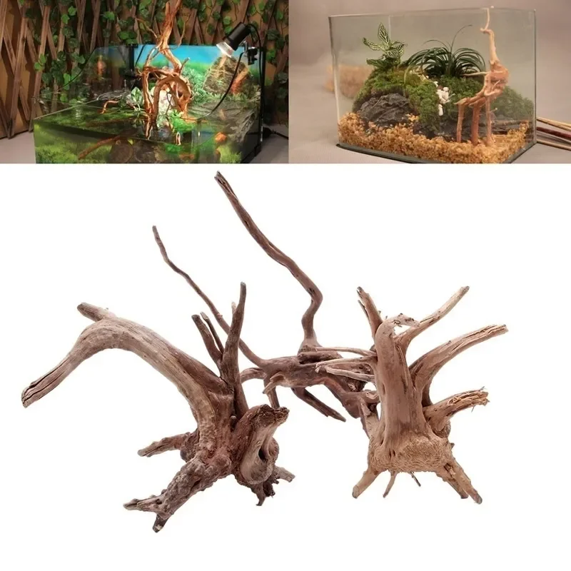 Naturalne drzewo pnia Driftwoo – Planted Aquarium Media recenzja i cena
