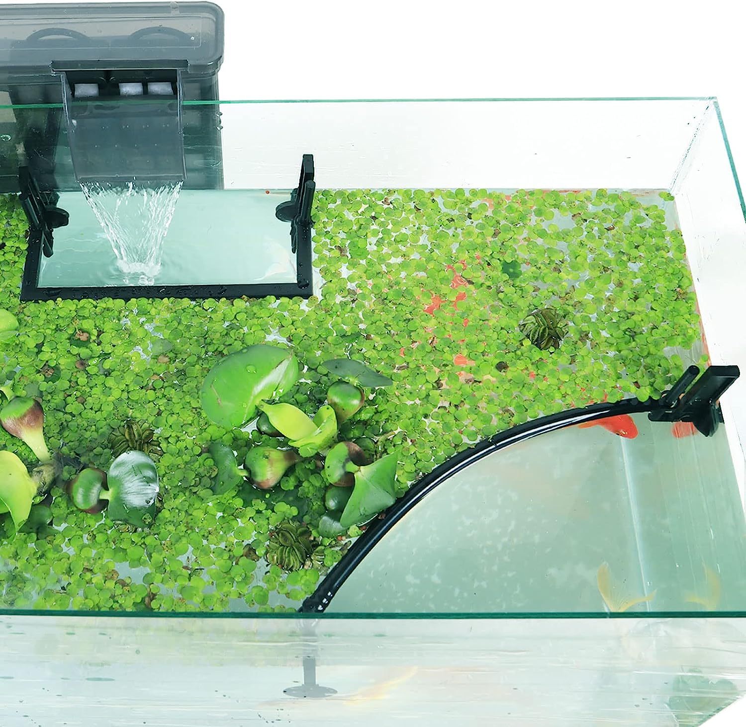Pływająca roślina akwariowa Co – Planted Aquarium Heater recenzja i cena