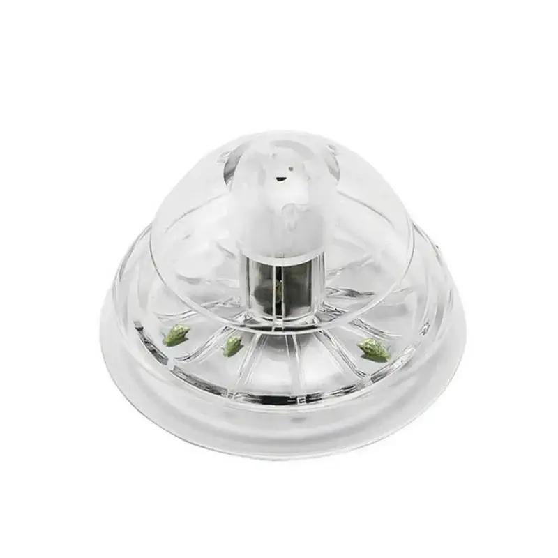 2026 Nowa przezroczysta plasti – Aquarium Planted Fish Tank recenzja i cena
