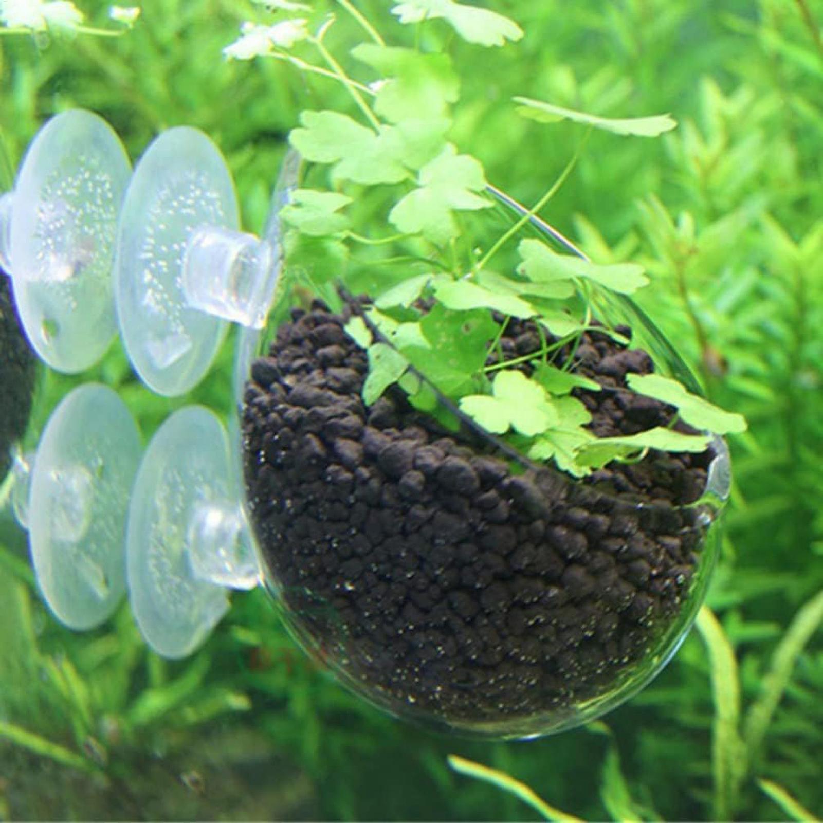 Szklany uchwyt na rośliny akwa – Planted Aquarium Maintenance recenzja i cena