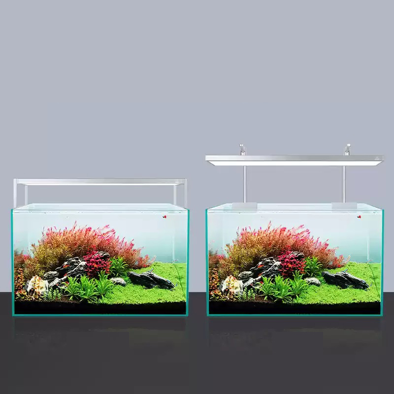 Week Aqua L Series WRGB UV Ful – Planted Aquarium Accessories recenzja i cena