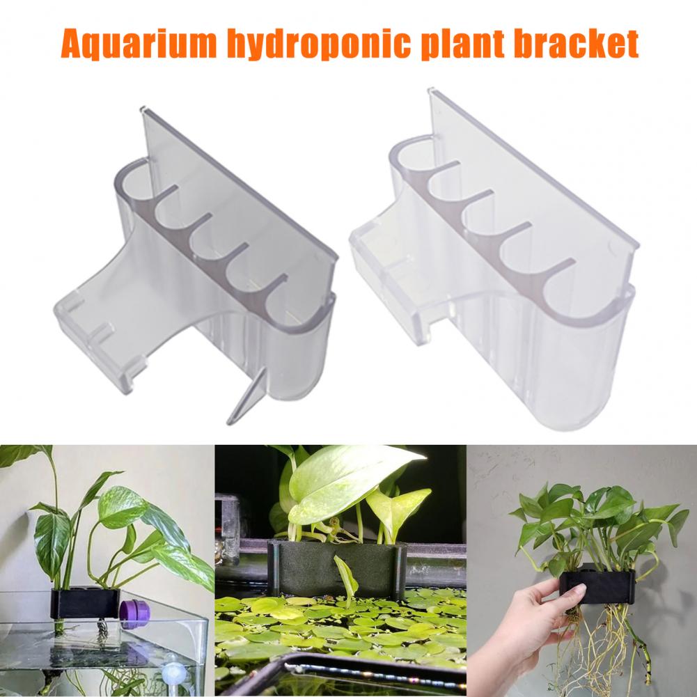 4.5/6.5cm akwarium uchwyt na r – Aquarium Planted Fish Tank recenzja i cena