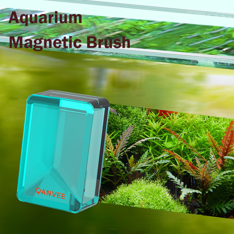 Narzędzia do czyszczenia szczo – Planted Aquarium Algae recenzja i cena