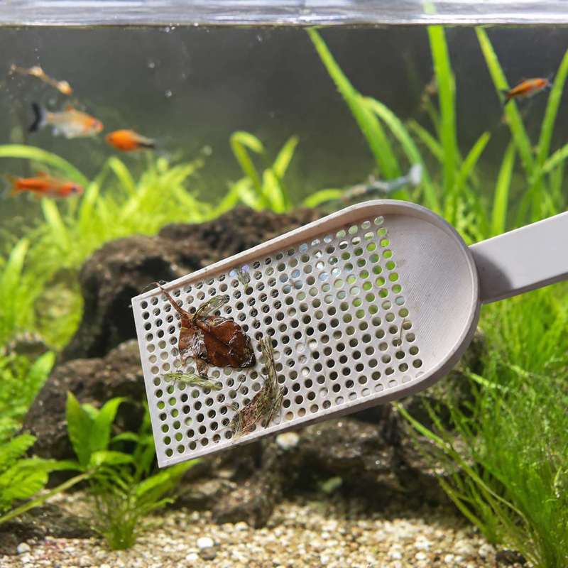 Siatka do usuwania zanieczyszc – Planted Aquarium Maintenance recenzja i cena