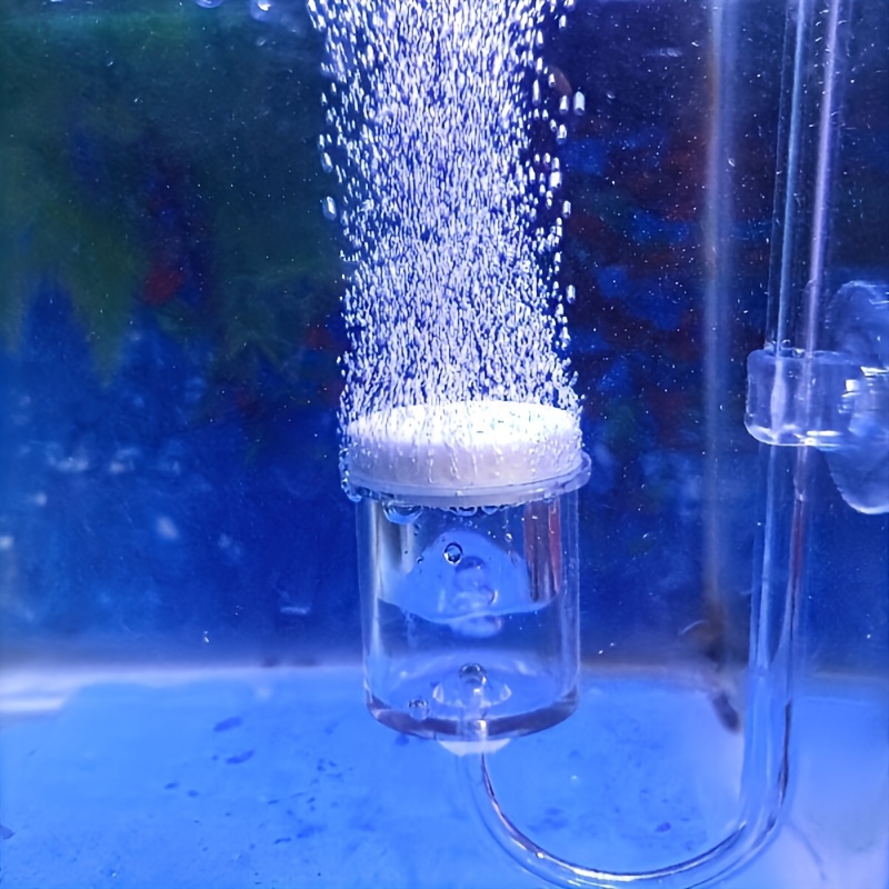 Szklany atomizer CO2 do akwari – Planted Aquarium Accessories recenzja i cena
