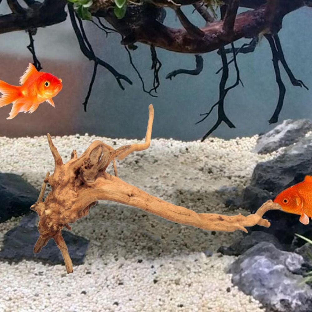 Naturalne drzewo pnia dekoracj – Planted Aquarium Media recenzja i cena
