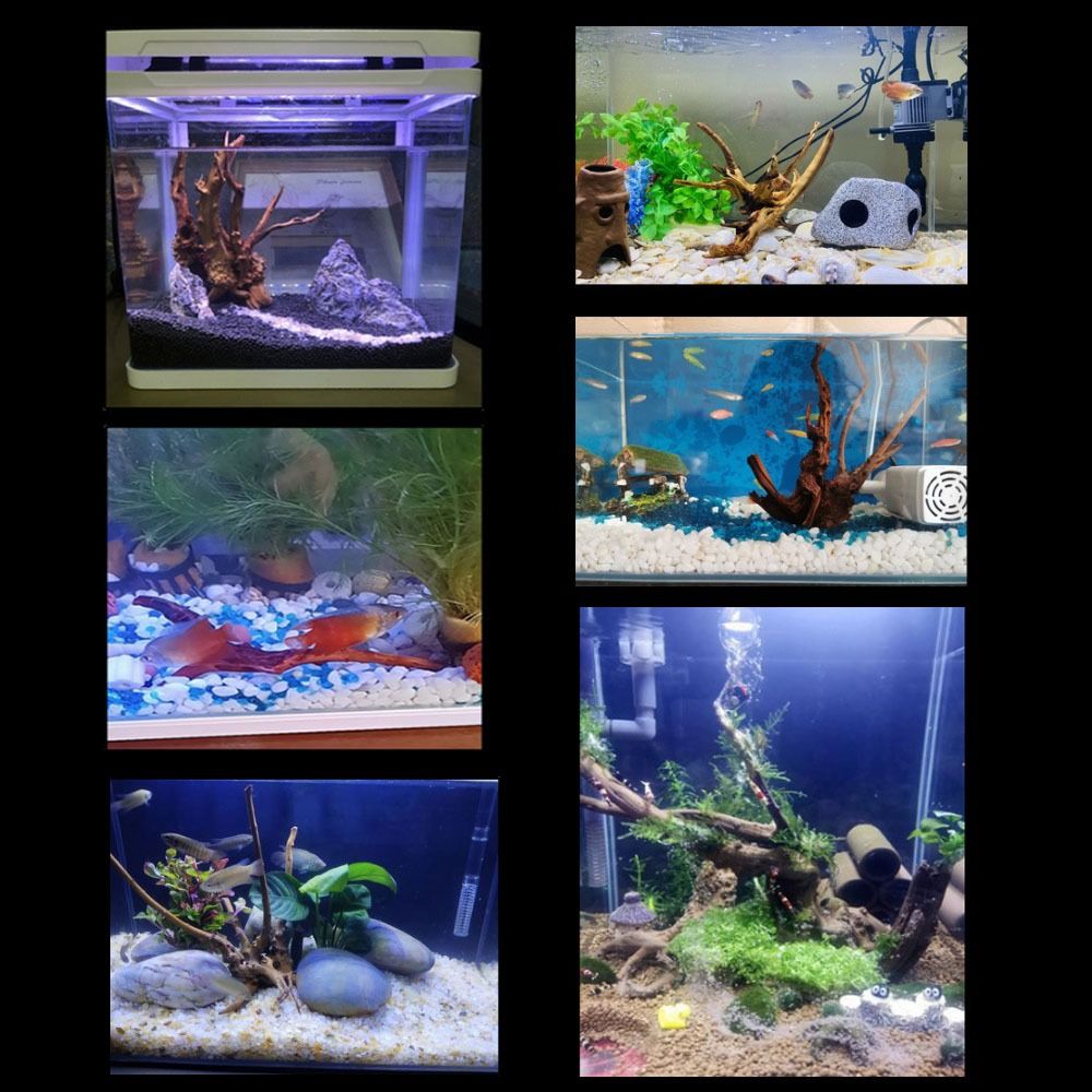 Naturalne drzewo pnia dekoracj – Planted Aquarium Media recenzja i cena