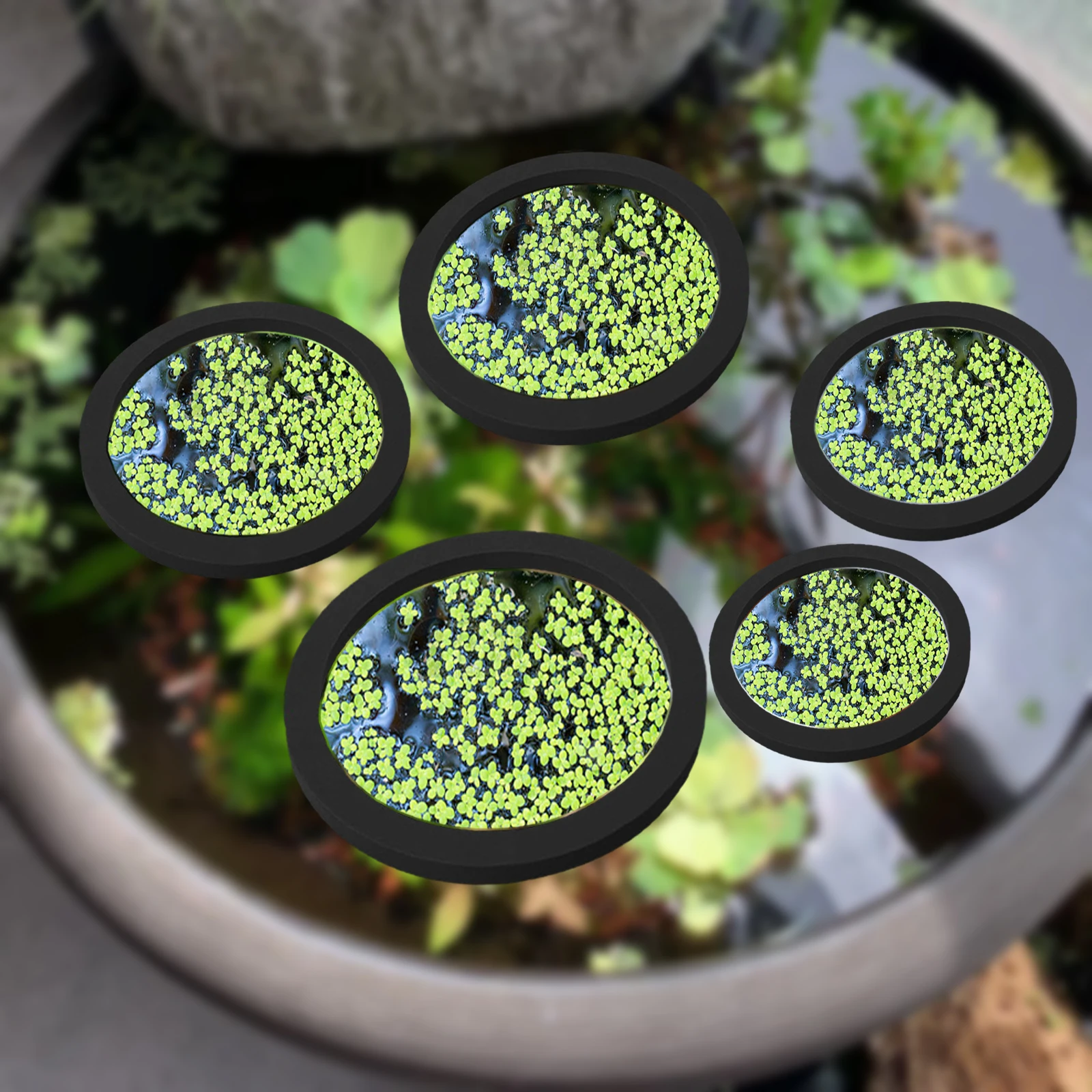 5Pcs EVA Pierścień do karmieni – Aquarium Planted Fish Tank recenzja i cena