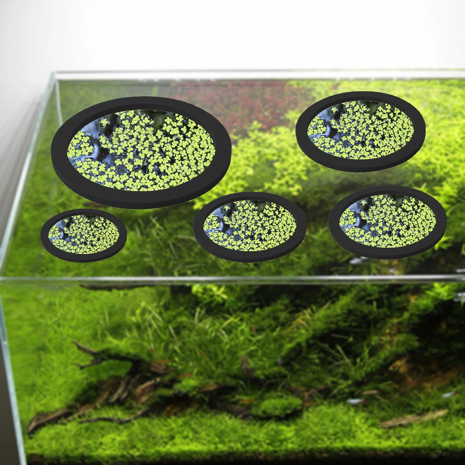 5Pcs EVA Pierścień do karmieni – Aquarium Planted Fish Tank recenzja i cena