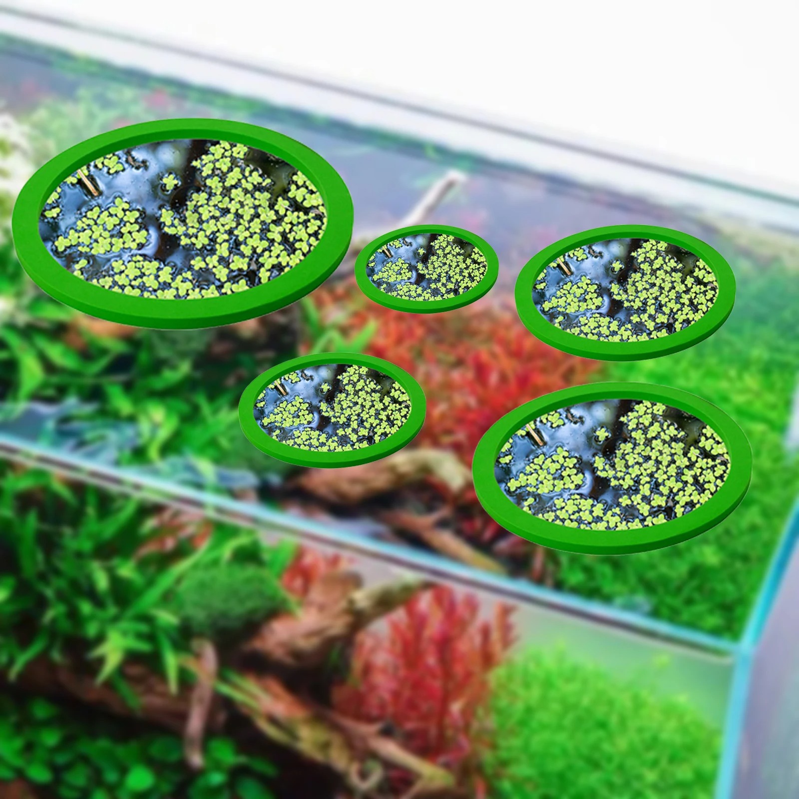 5Pcs EVA Pierścień do karmieni – Aquarium Planted Fish Tank recenzja i cena