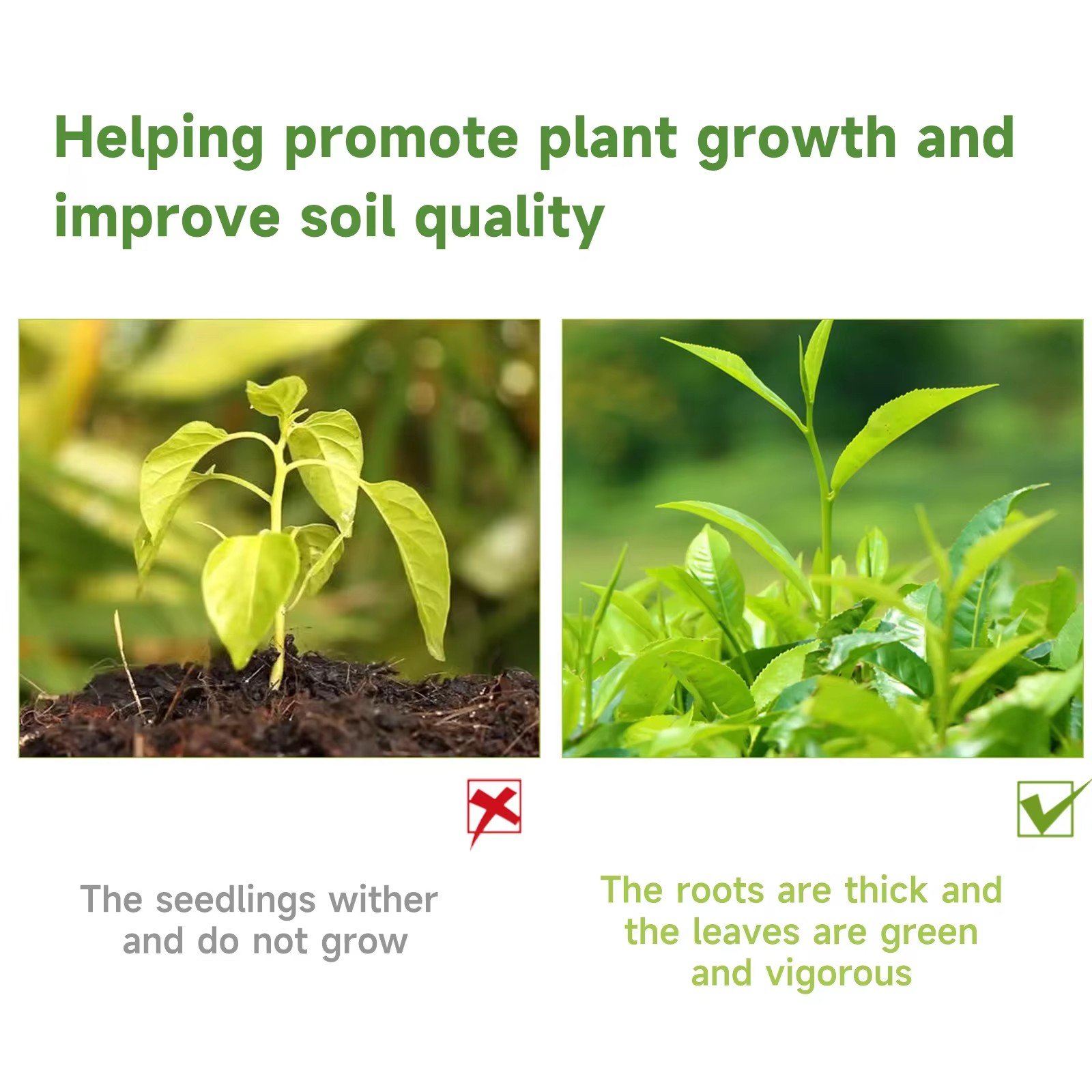 MOONSPRY 100ml Organiczny płyn – Liquid Fertilizer All In recenzja i cena