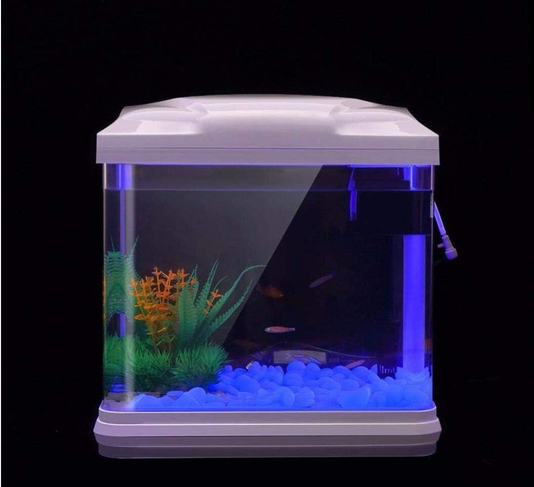 Fish Tank Rocks Glow Blue Pebb – Aquarium Planted Fish Tank recenzja i cena