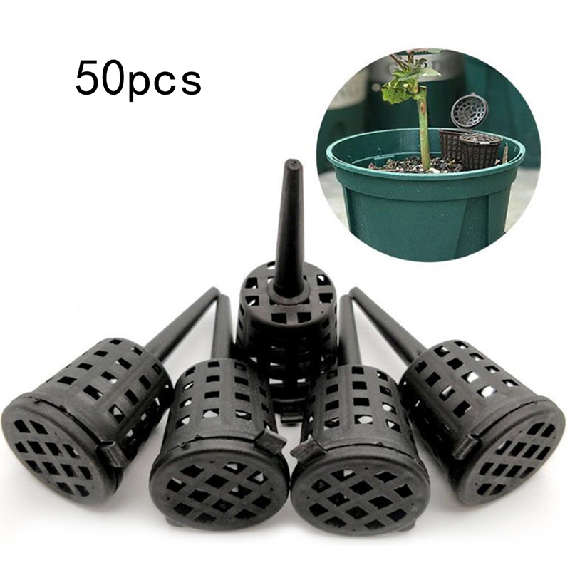 50 sztuk roślin nawozów kosze  – Aquarium Plant Root Fertilizer recenzja i cena