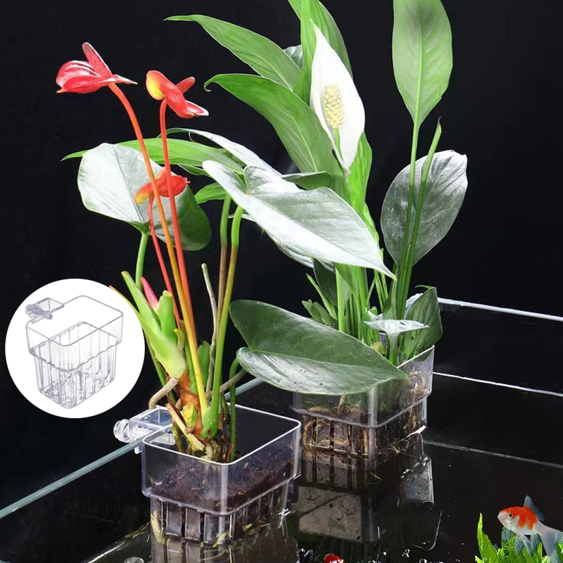 Wielofunkcyjny akwarium dla ry – Aquarium Planted Fish Tank recenzja i cena