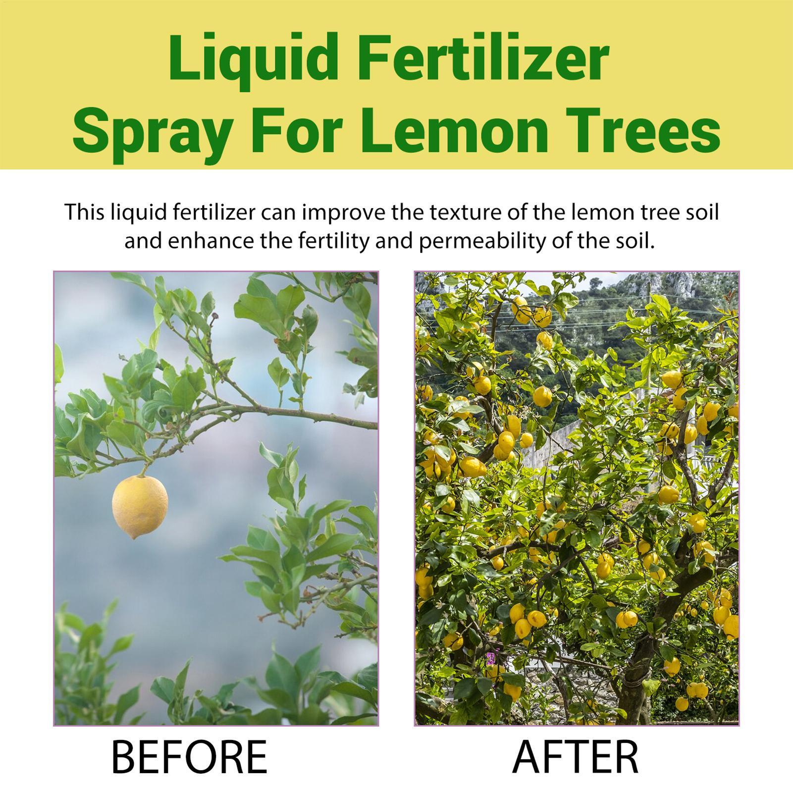 100ml Organiczny Płynny Nawóz  – Liquid Fertilizer All In recenzja i cena