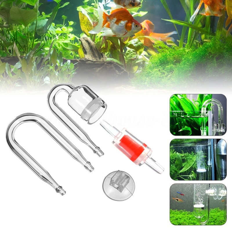 4szt Zestaw DIY Dyfuzor CO2 do – Planted Aquarium Maintenance recenzja i cena