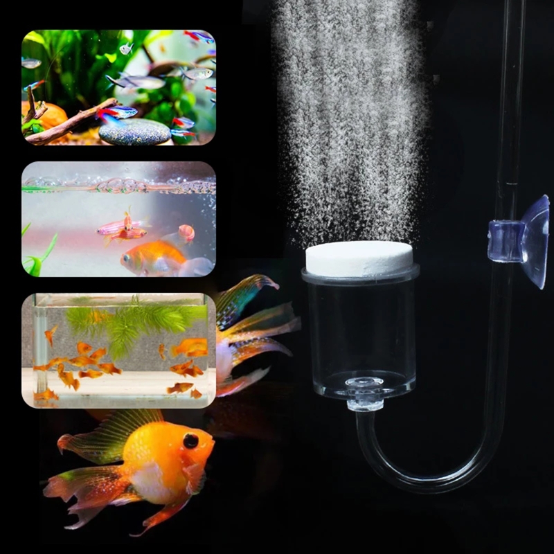 4szt Zestaw DIY Dyfuzor CO2 do – Planted Aquarium Maintenance recenzja i cena