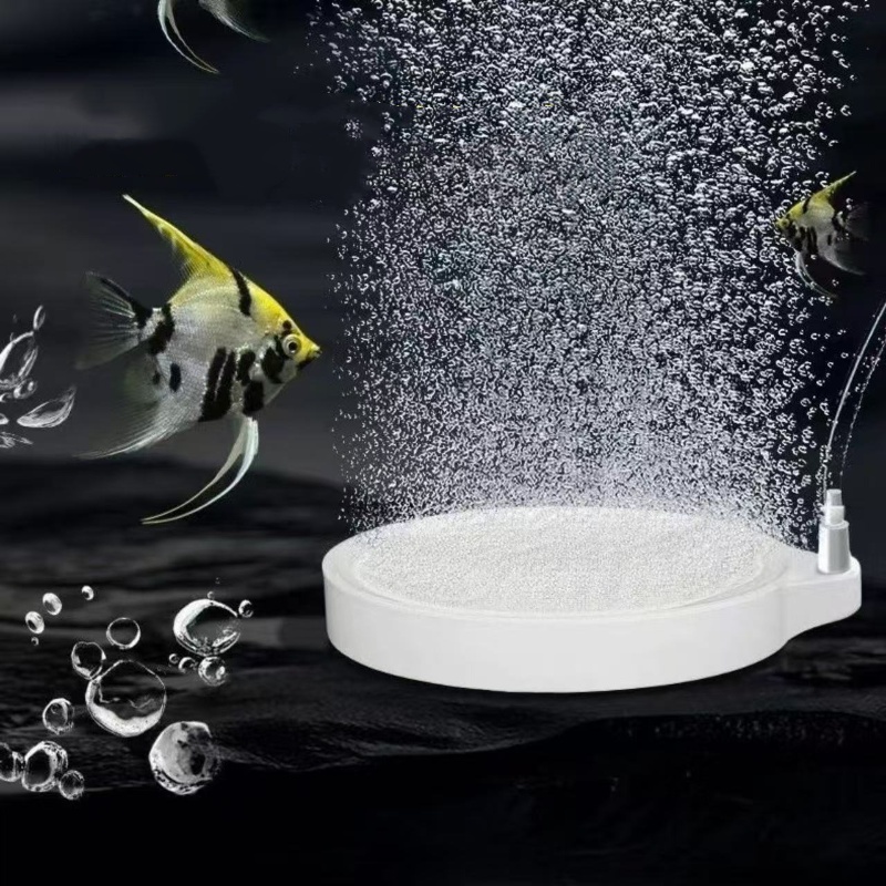 Nano Dysk Koralik Napowietrzaj – Planted Aquarium Accessories recenzja i cena